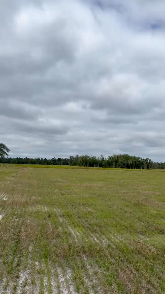 A vast, green grassy field under a cloudy, overcast sky, bordered by a dense line of dark green trees in the distance.