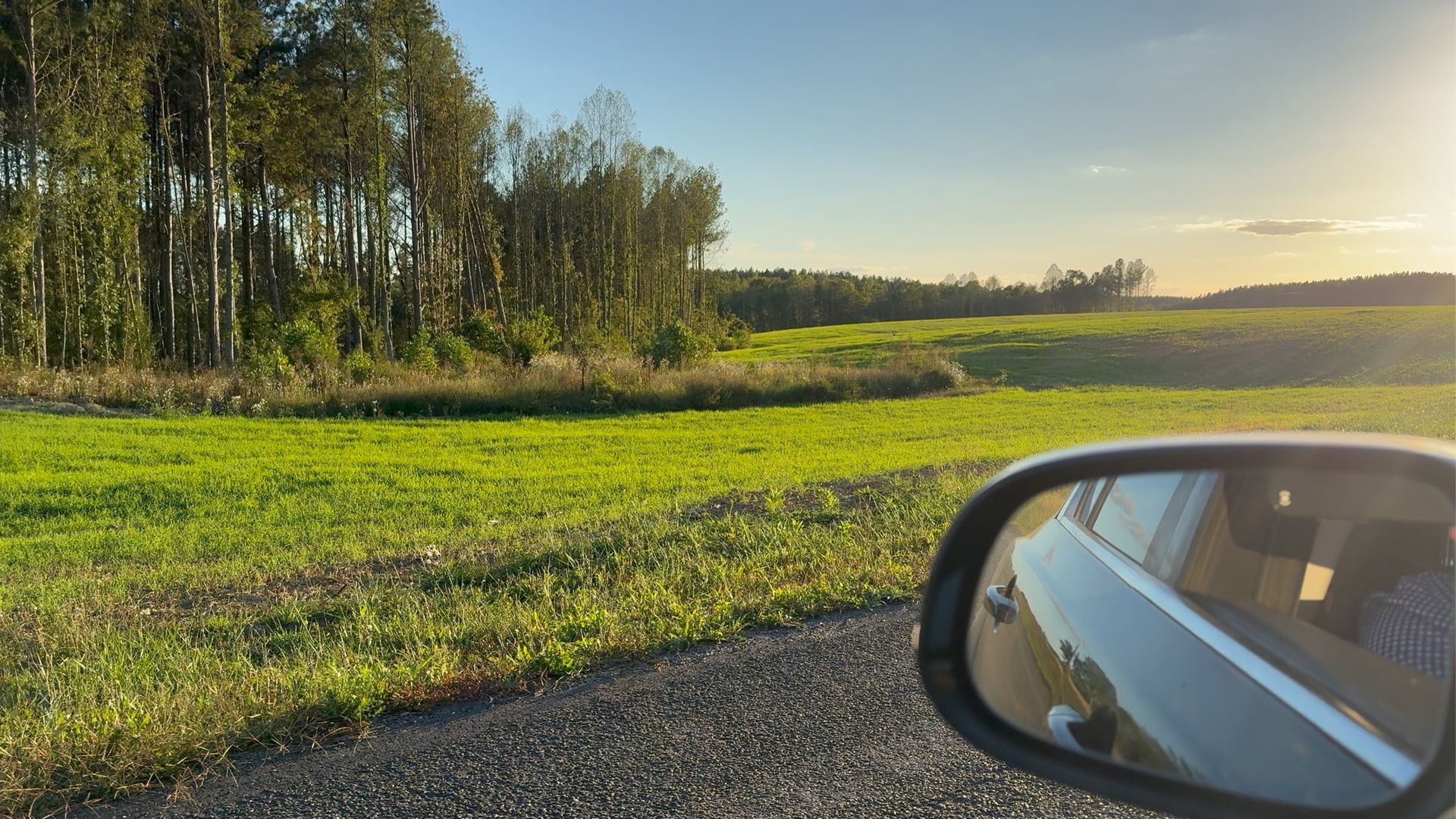 A grassy field and a line of trees under a clear sky, viewed from a car window with its side mirror visible.