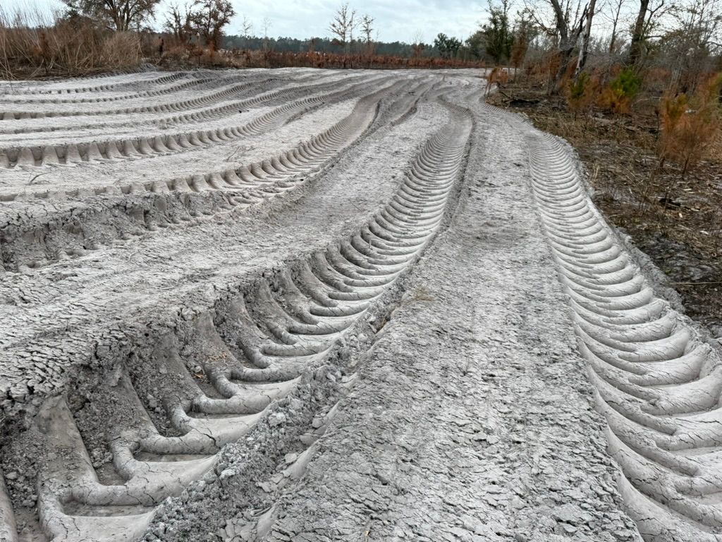 Deep, V-shaped tire tracks impressed into light-gray, sandy soil in a cleared, rural area with sparse trees in the distance.