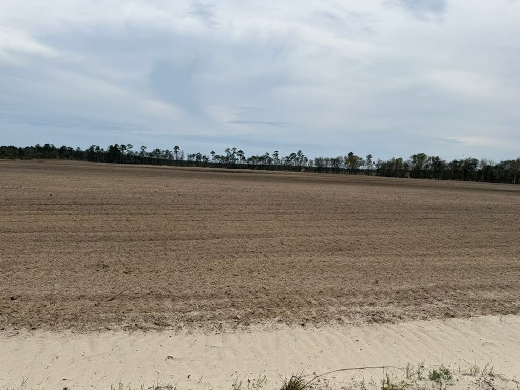 A vast, freshly tilled brown agricultural field under a cloudy sky, bordered by a line of trees in the distance.