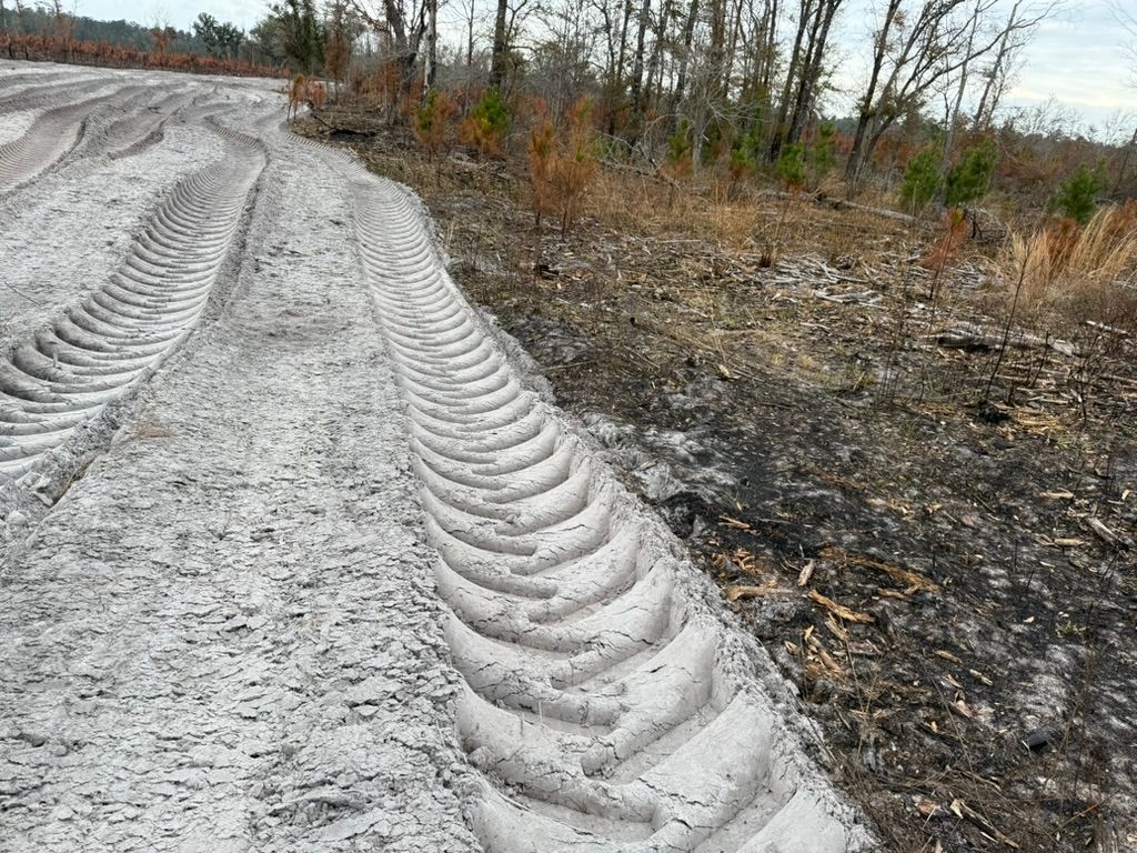 Deep tire tracks in light gray ash run alongside a strip of dark, charred earth and sparse forest.