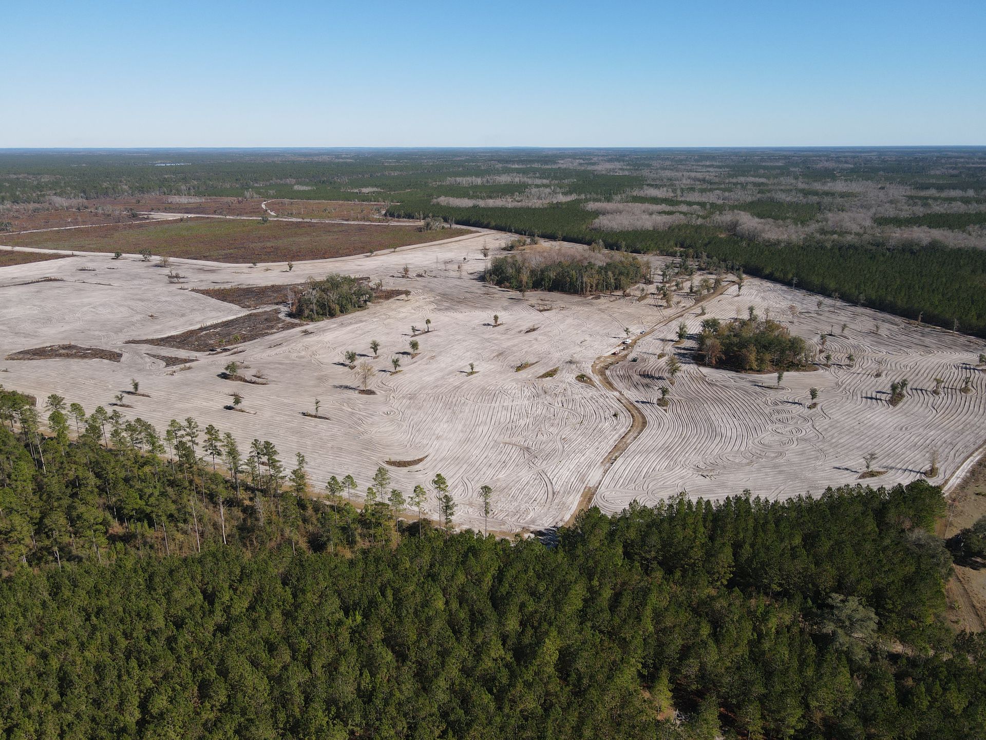 An aerial view of a cleared, sandy patch of land surrounded by dense pine forests under a clear blue sky.