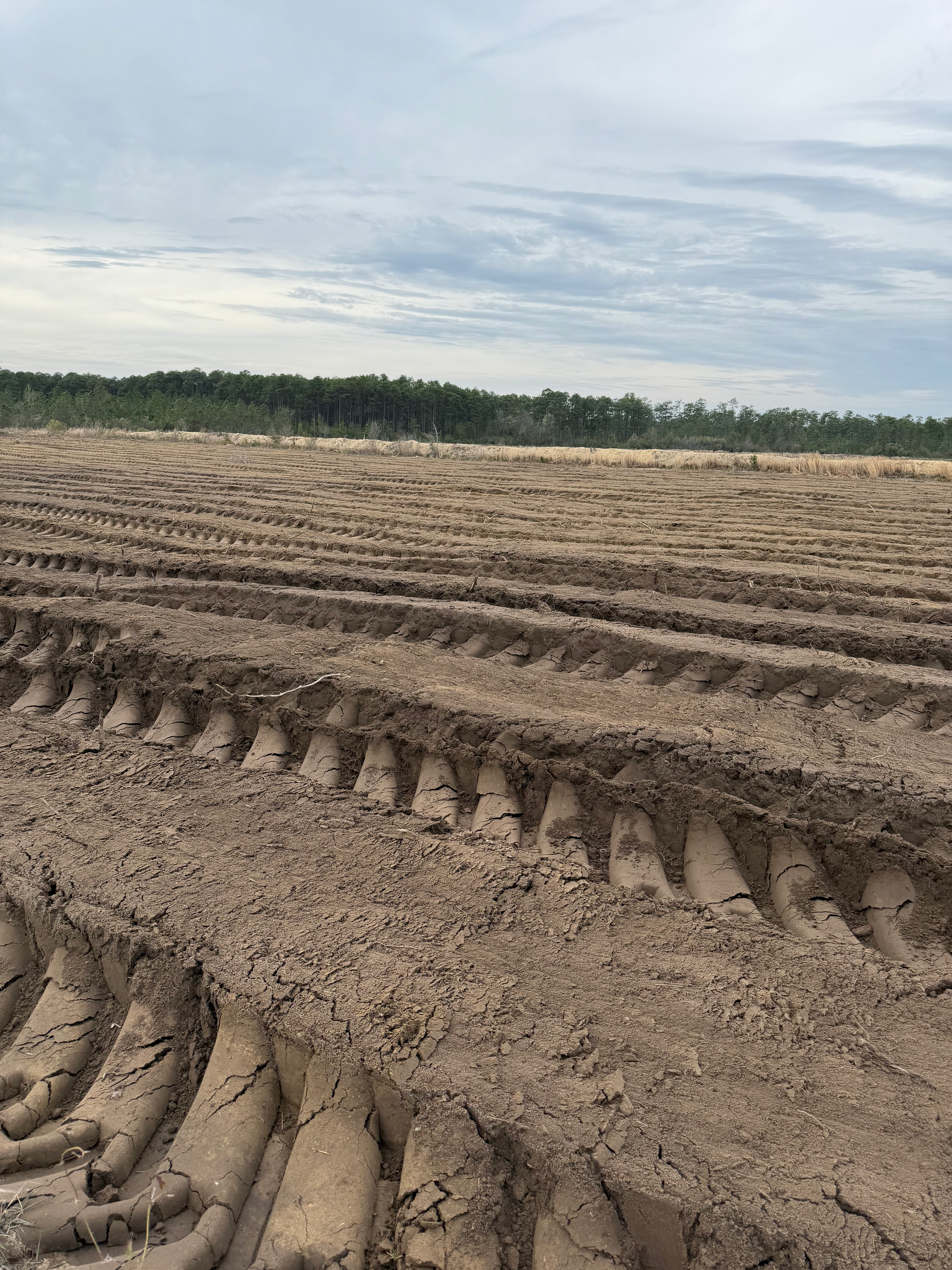 Deep tire tracks run through a barren, dirt-covered field under a cloudy, overcast sky.