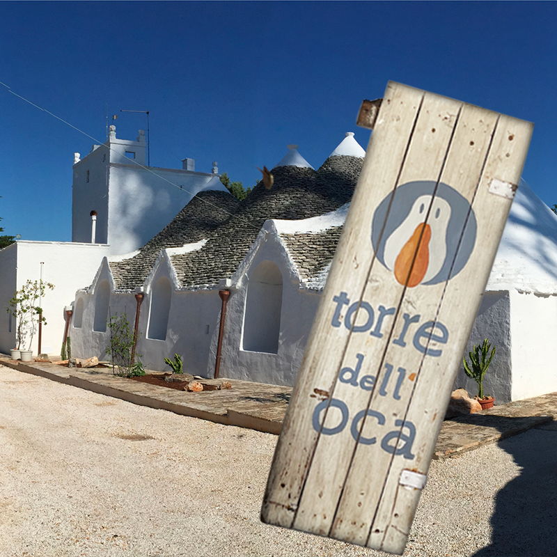 VISIT THE DEDICATED AREA