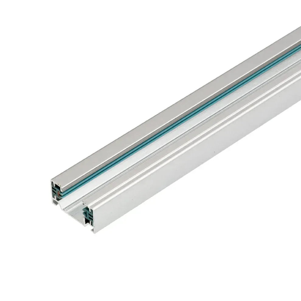 1F 1rail zilvergrijs  1 meter