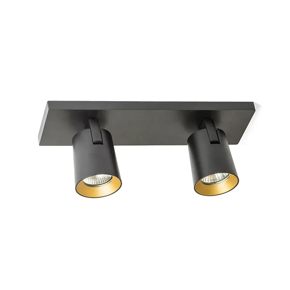 Plafondlamp Kenny – Moderne 2-lichts Spot in Zwart met Goud