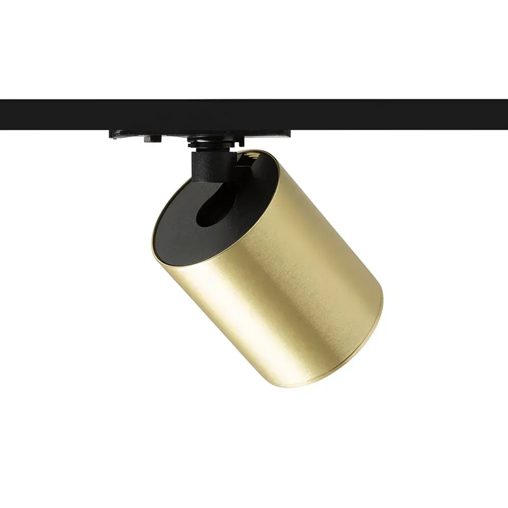 Dario 1-Fase Railspot IP65 Goud – Waterdichte LED Spot voor Badkamer & Railverlichting