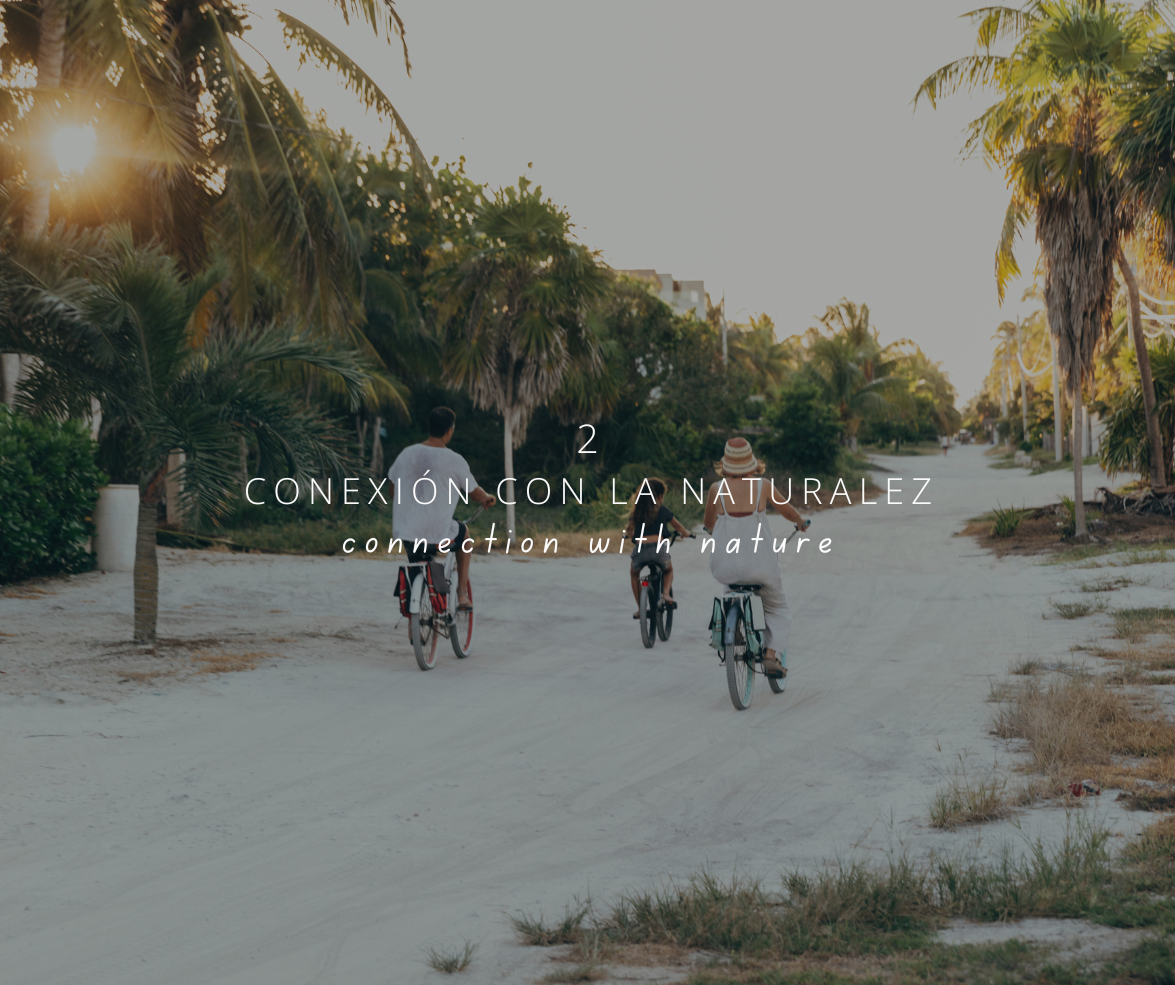 Razones para visitar El Cuyo Yucatan 2025