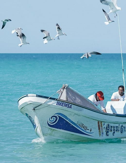 Tour Pesca Experiencias El Cuyo Yucatan - Fishing Experiences