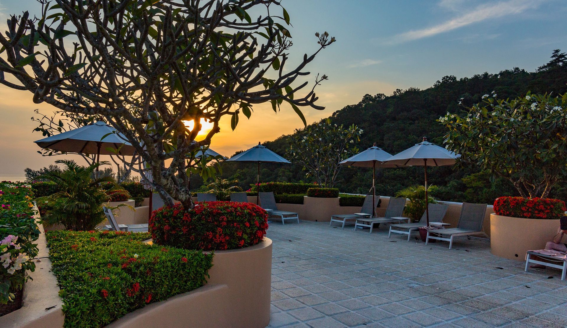 A patio with chairs and umbrellas at sunset