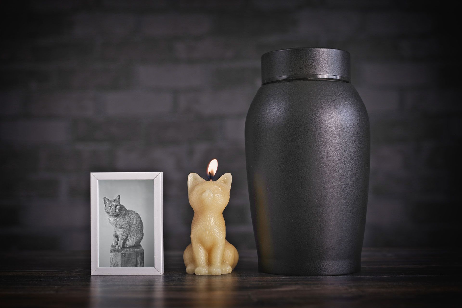 Pet Urns in Manchester, NH