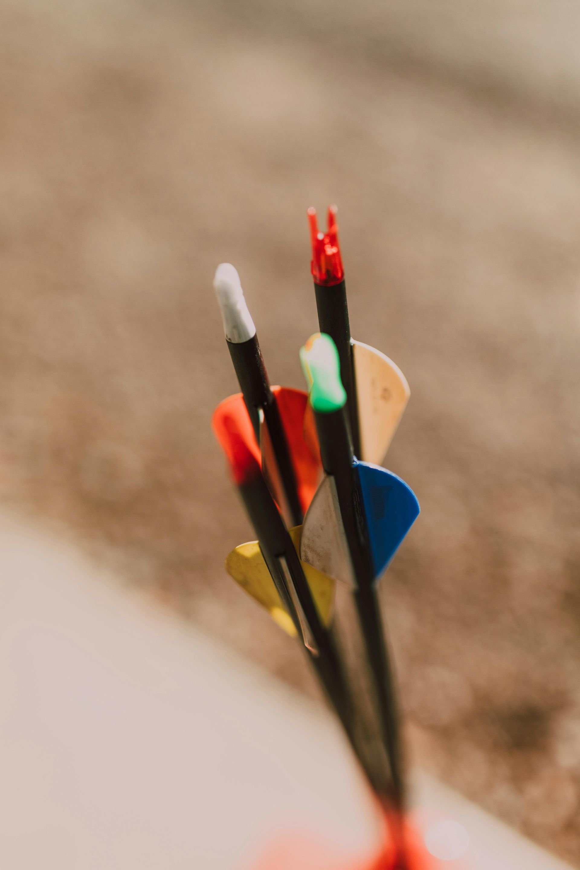 Arrows with various colored fletchings, tips pointing up, close-up.