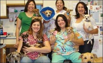 Veterinarian Staff - Veterinary Services in Tucson, AZ
