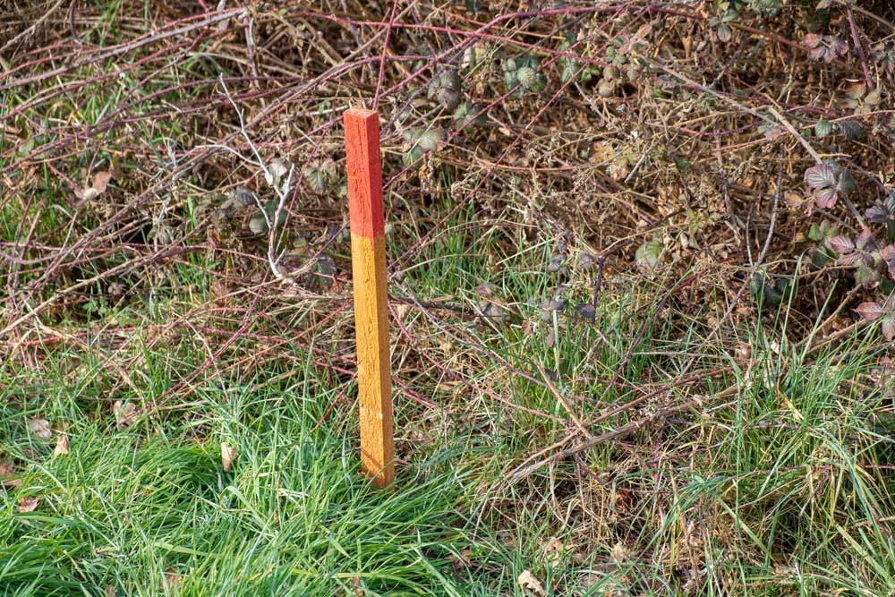 A Red and Yellow Pole Is Sitting in The Grass — Hager Surveying In Banora Point, NSW