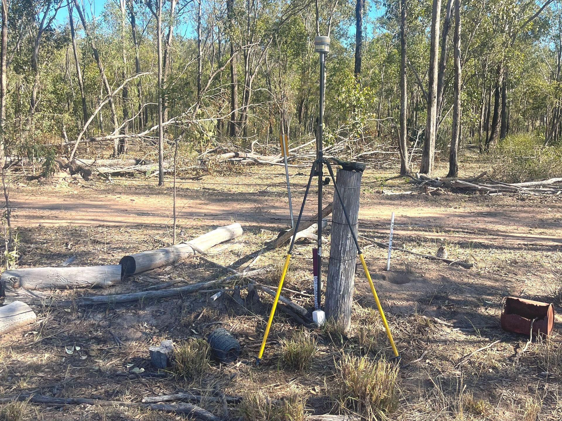 A Leica TS16 On Tripod In Bushland — Hager Surveying In Banora Point, NSW