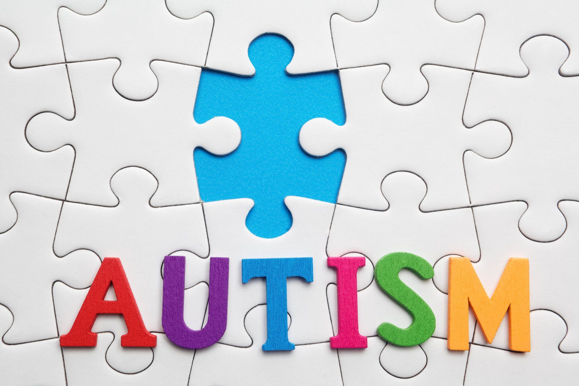 Autism and puzzle — Daytona Beach, FL — Monarch Academy