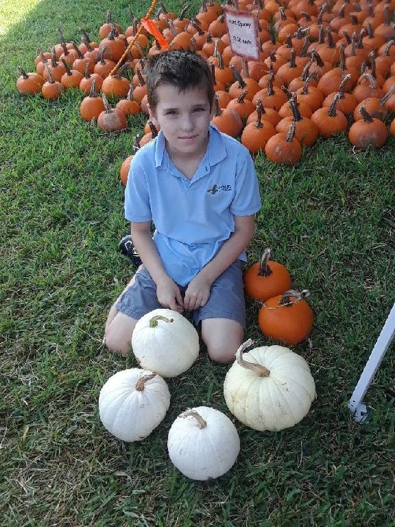 Boy and pumpkins — Daytona Beach, FL — Monarch Academy