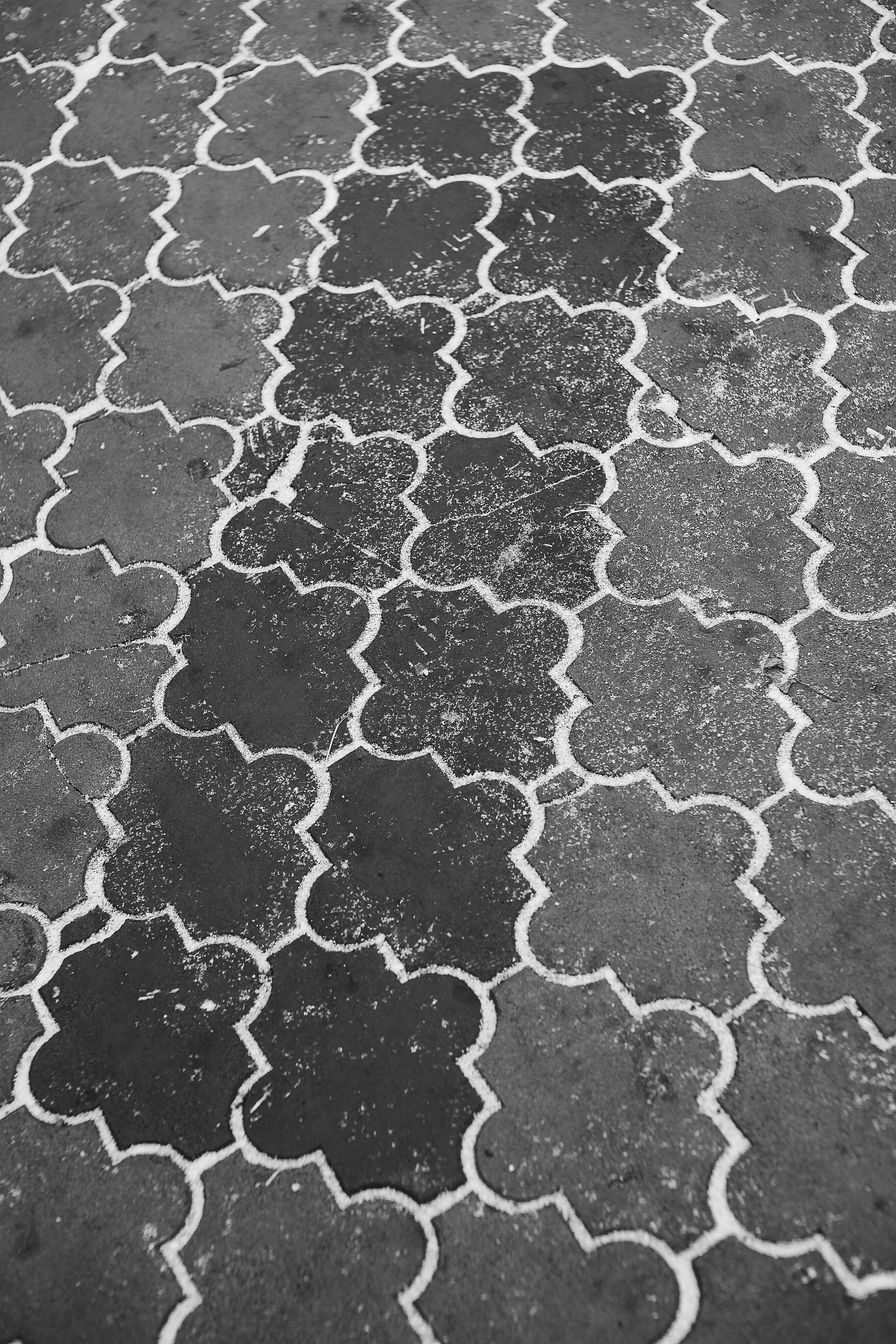 A black and white photo of a brick walkway