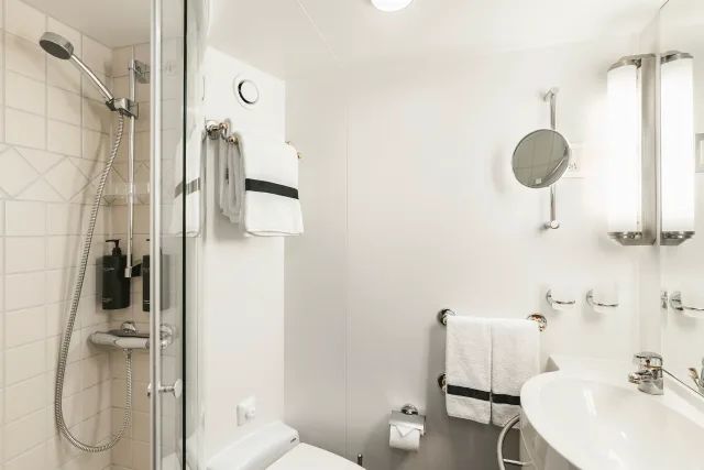 Een badkamer met toilet, wastafel, spiegel en douche.