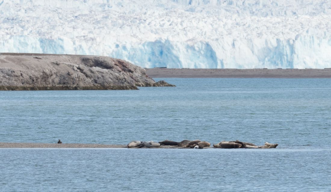 Vliegen naar Spitsbergen