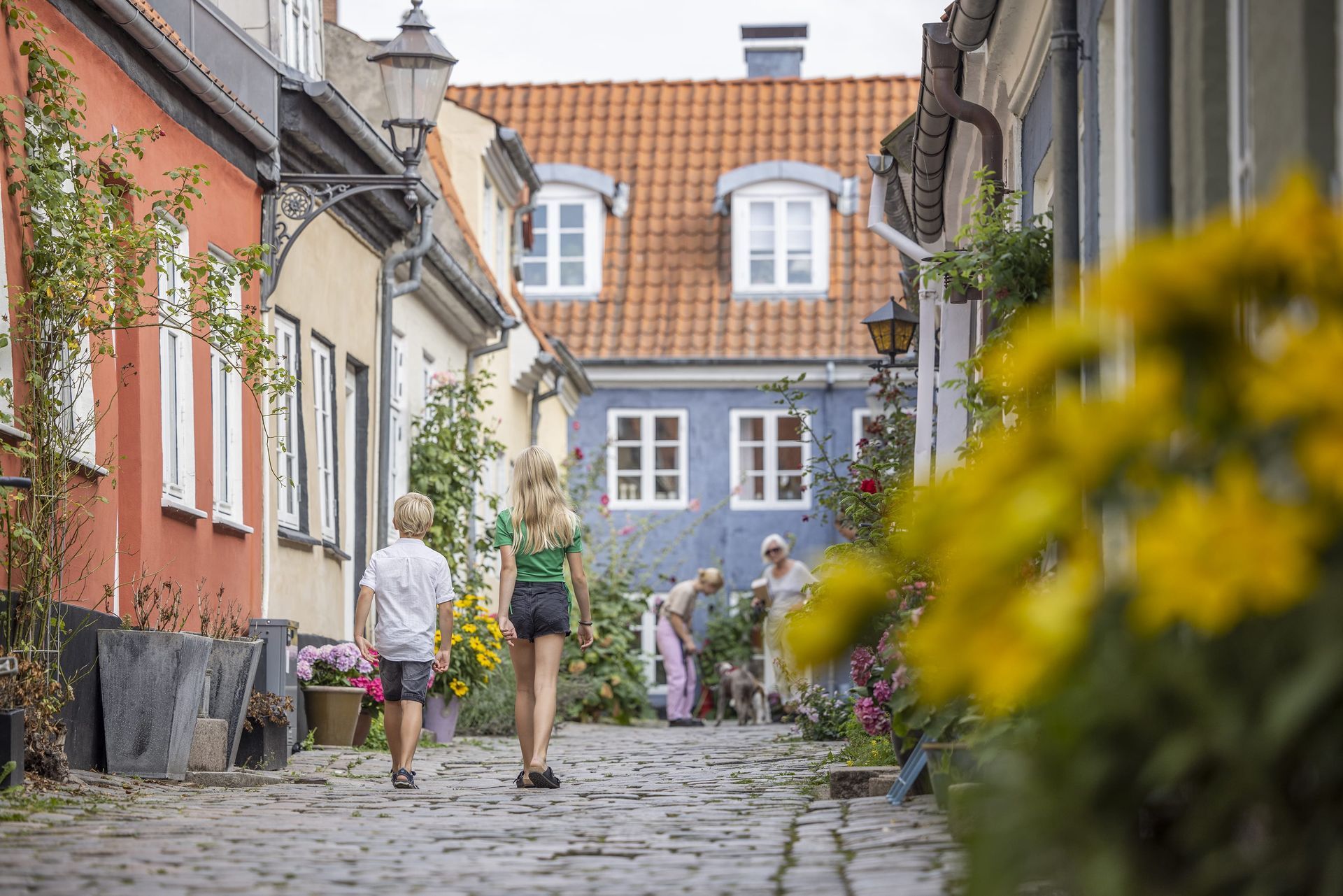 afwisselend Denemarken in Ribe