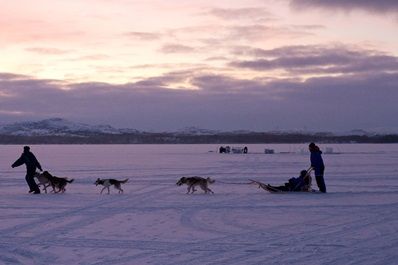 huskysafari in Noorwegen