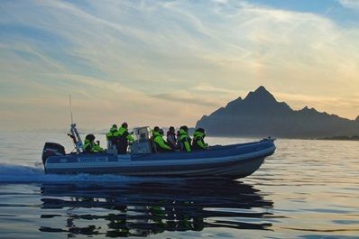 passagiers genieten vanuit een RIB-boot van het uitzicht op de Lofoten