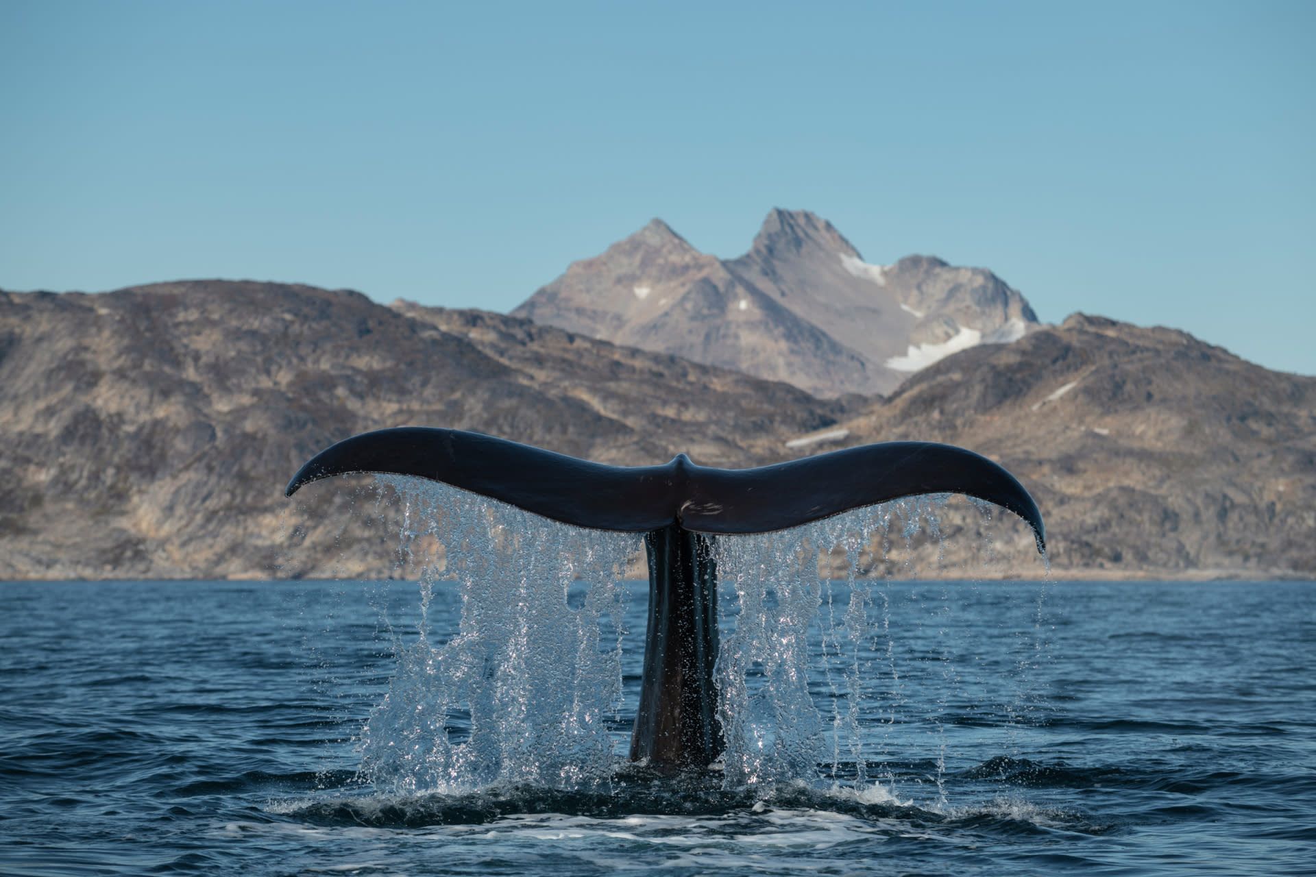 De MS Hondius tijdens een expeditie cruise rond Spitsbergen