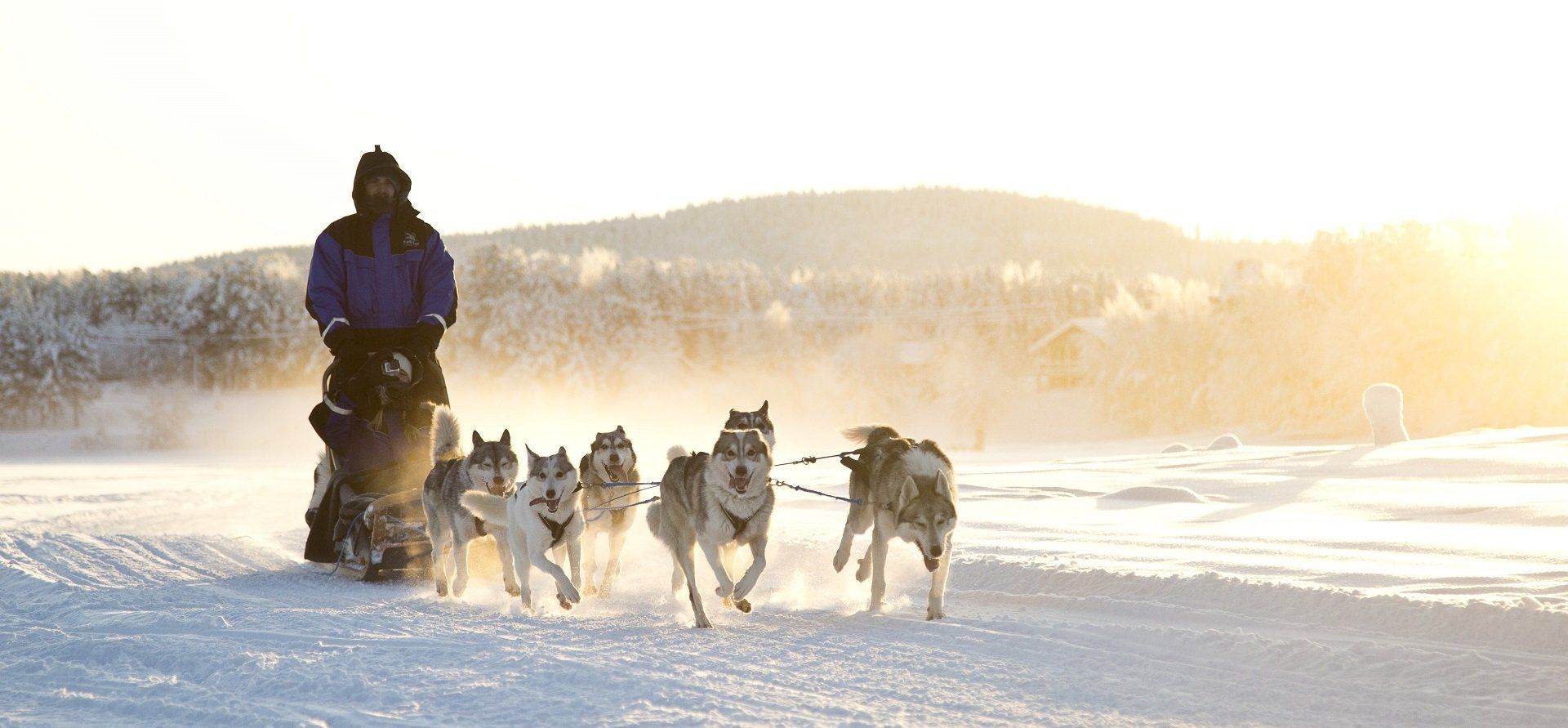 Winterreis, reis, winter, Lapland, 5, dagen, Iso Syote, Iso Syöte, luxe, resort, hotel, Go North, Askja, Voigt, Voigt Travel, kerst, december, 2021, 2022, huwelijksreis