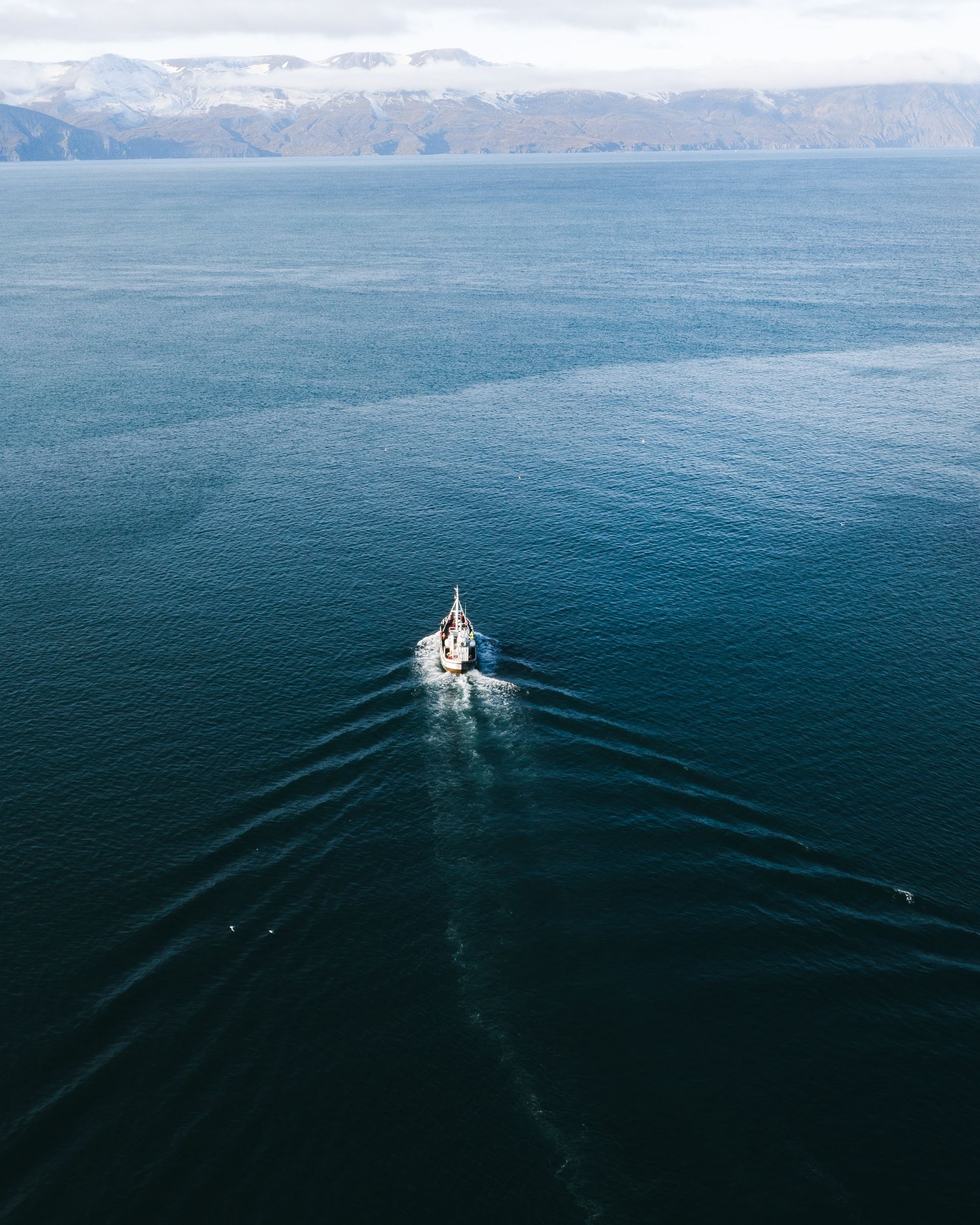 boot in de zee bij ijsland voor het spotten van walvissen