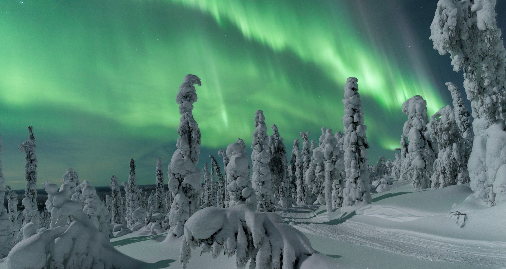 Het Noorderlicht tijdens een reis in Finland