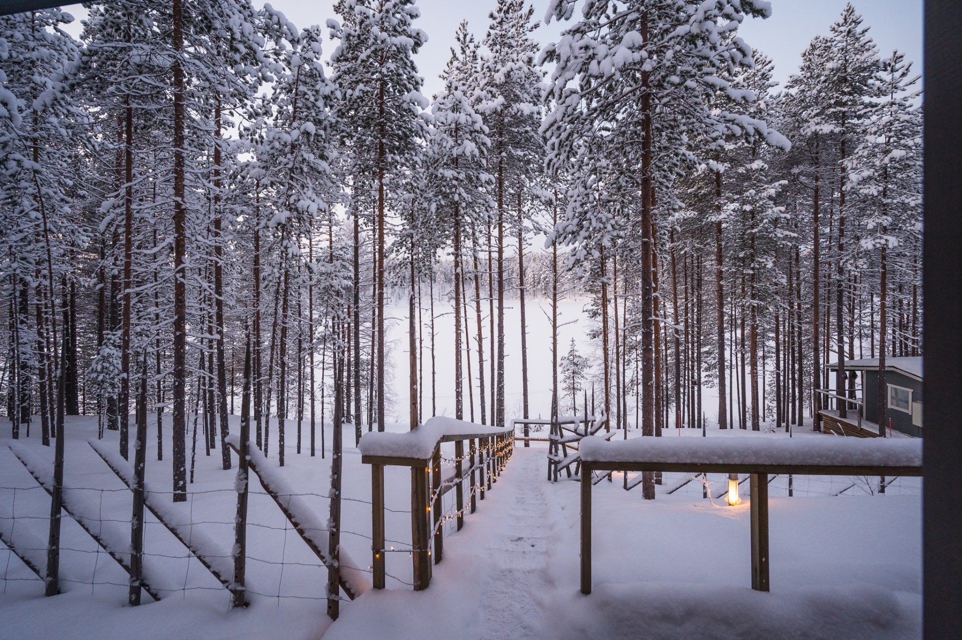 Knusse Vakantiewoning In Lapland Huren? | Go North