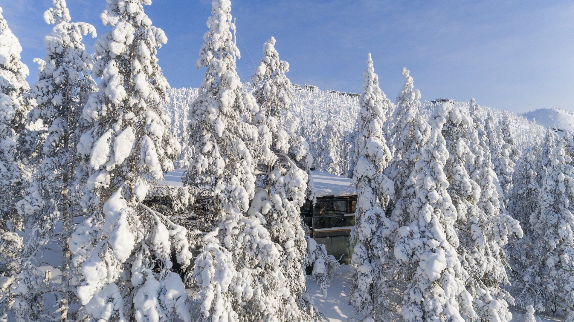 Luxe grote vakantiewoning in Lapland Go North