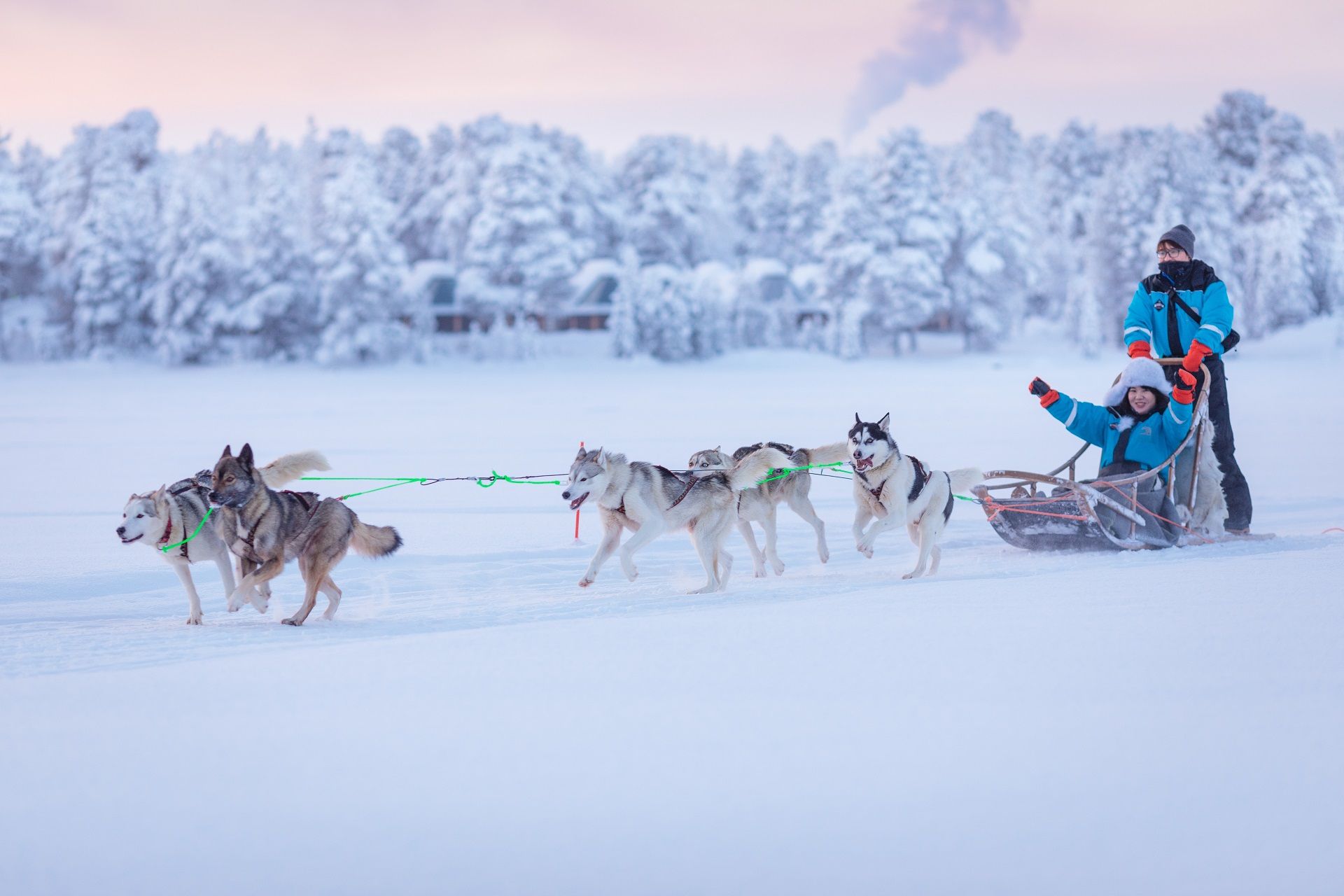 Huskysafari tijden een vakantie naar Wilderness Hotel Juutua Lapland