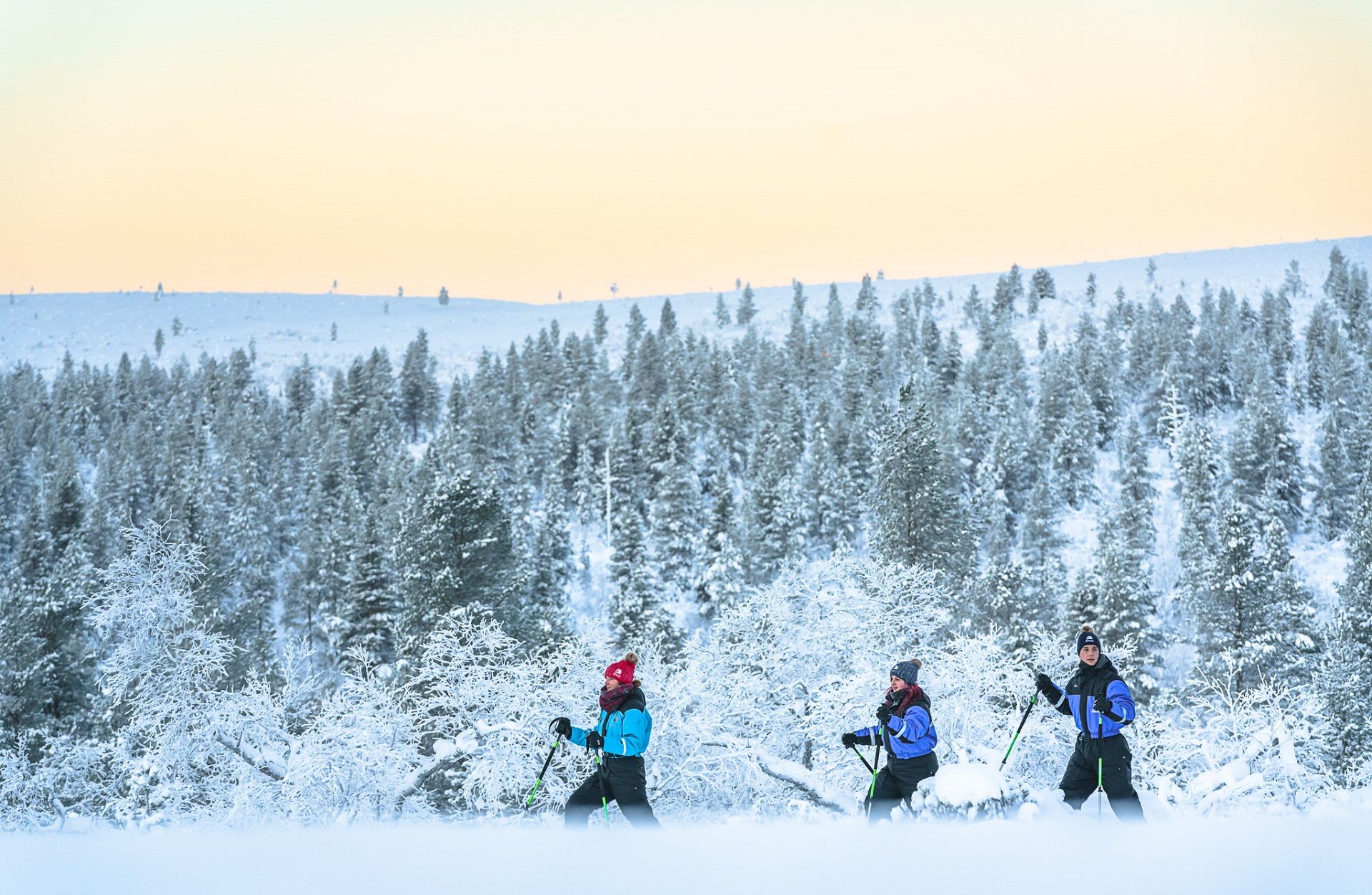 Winterreis in Noord Lapland, 5 dagen Go North