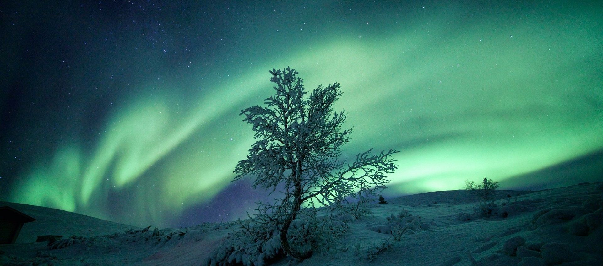 Sneeuw en Noorderlicht horen bij de winter in Lapland