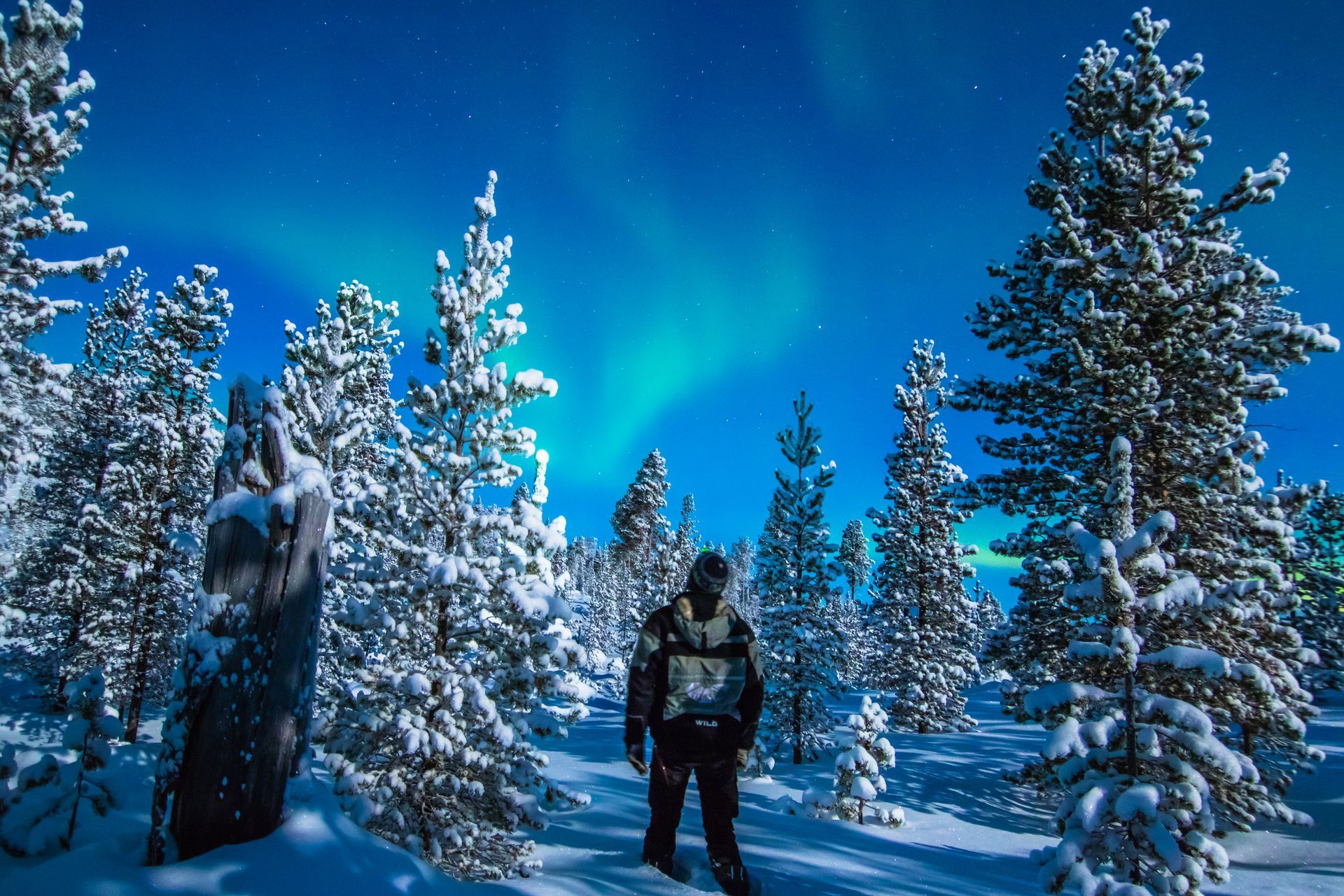 Lapland, de beste plek om het Noorderlicht te zien