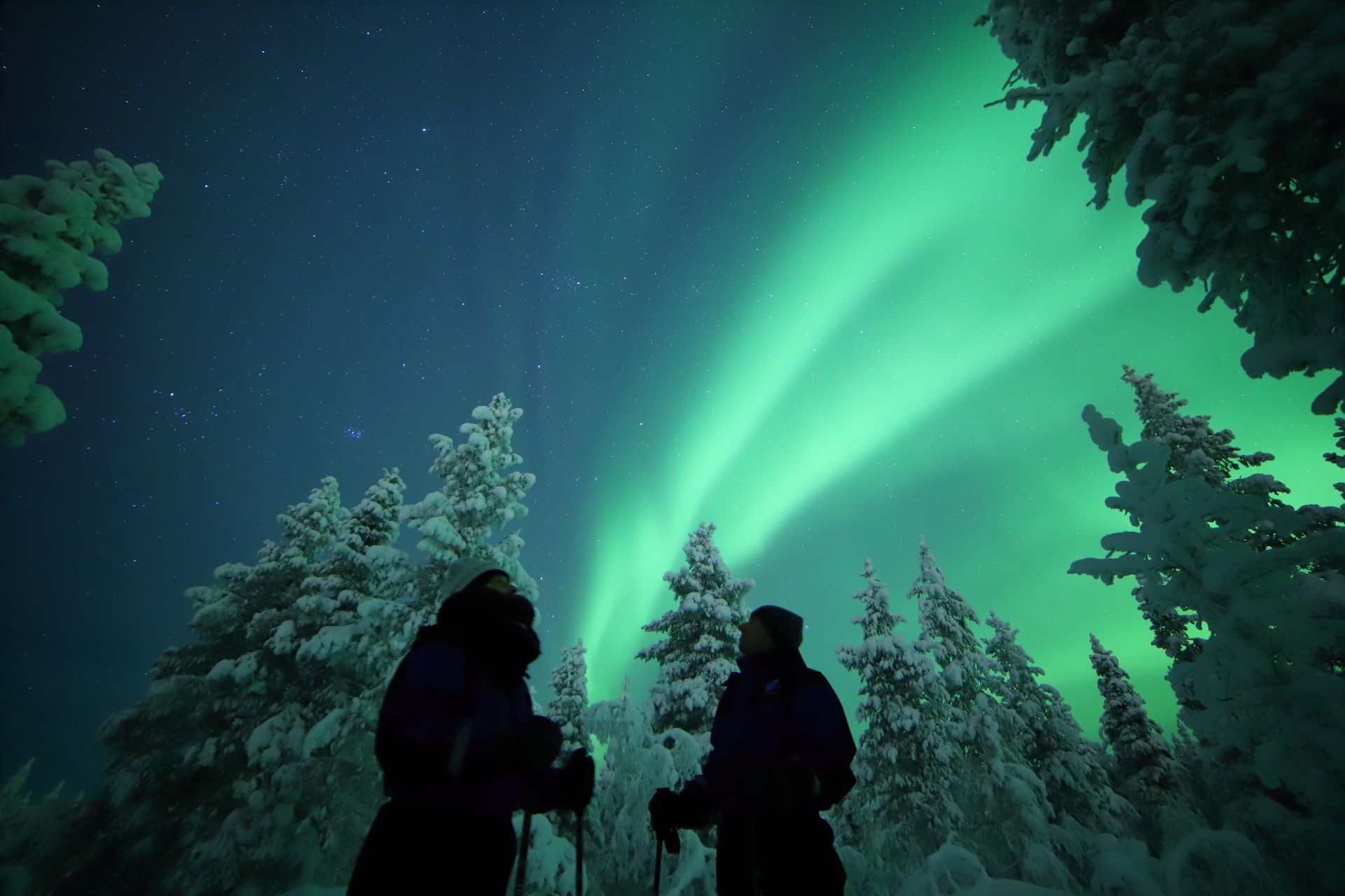 Het Noorderlicht in Lapland