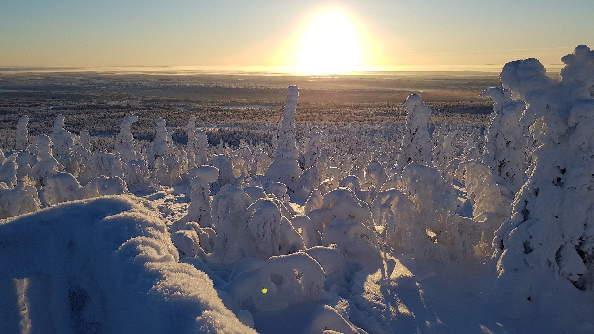 Echt Lapland, unieke 5daagse winterreis Go North