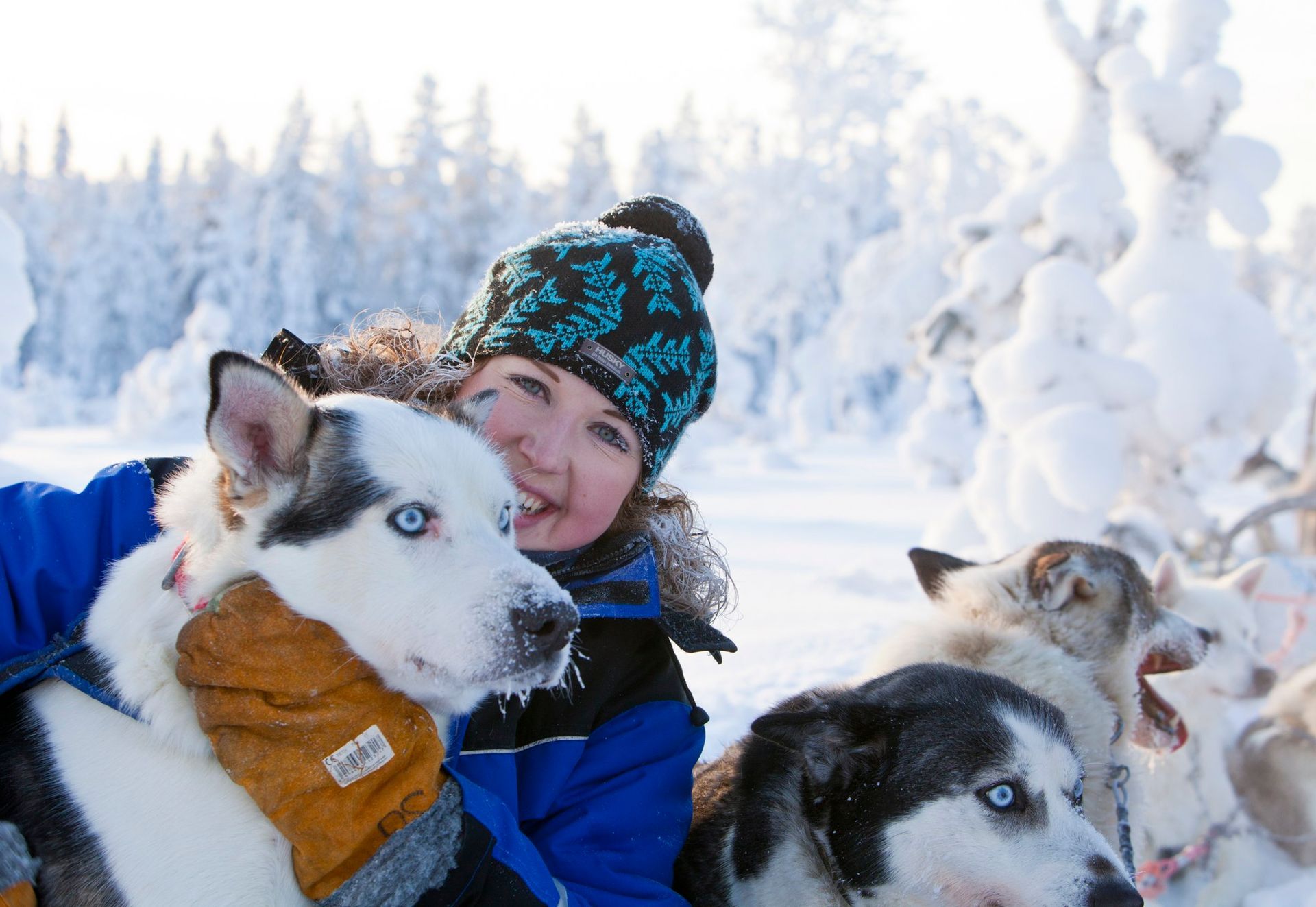 sledehondentocht in de winter in Finland