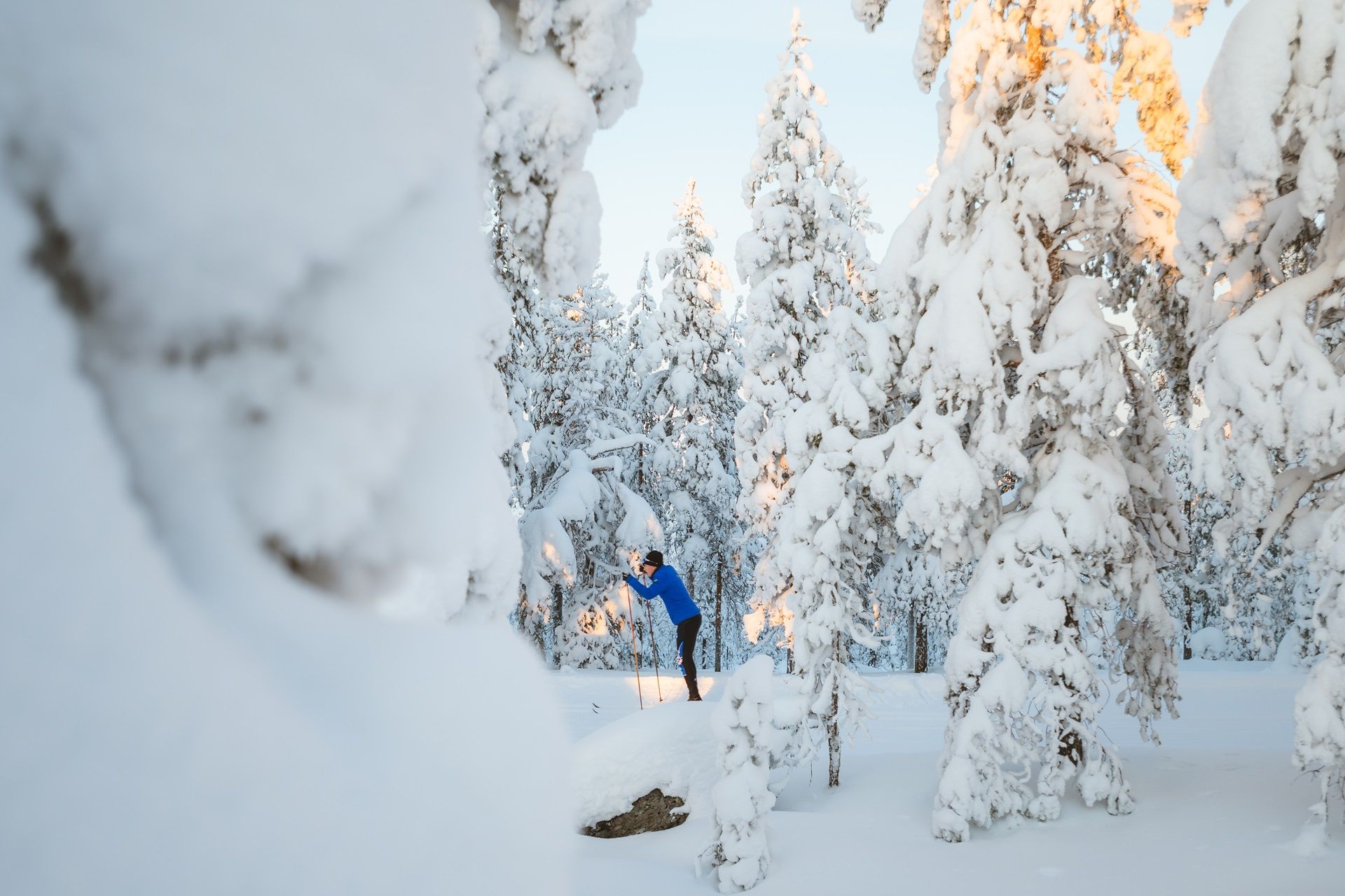 Langlaufen in de omgeving van Rovaniemi, Lapland