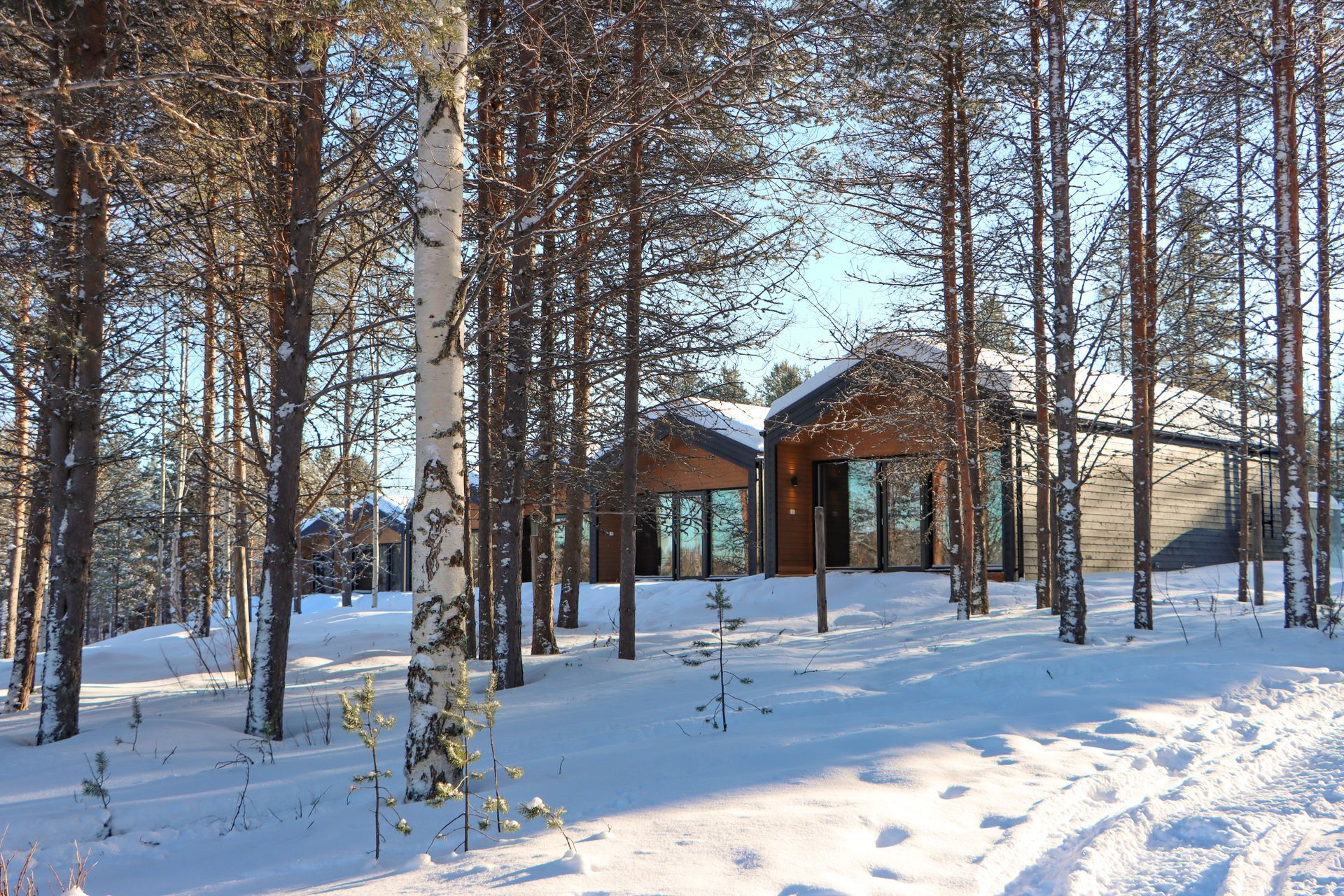 Een besneeuwd bos met een huis op de achtergrond