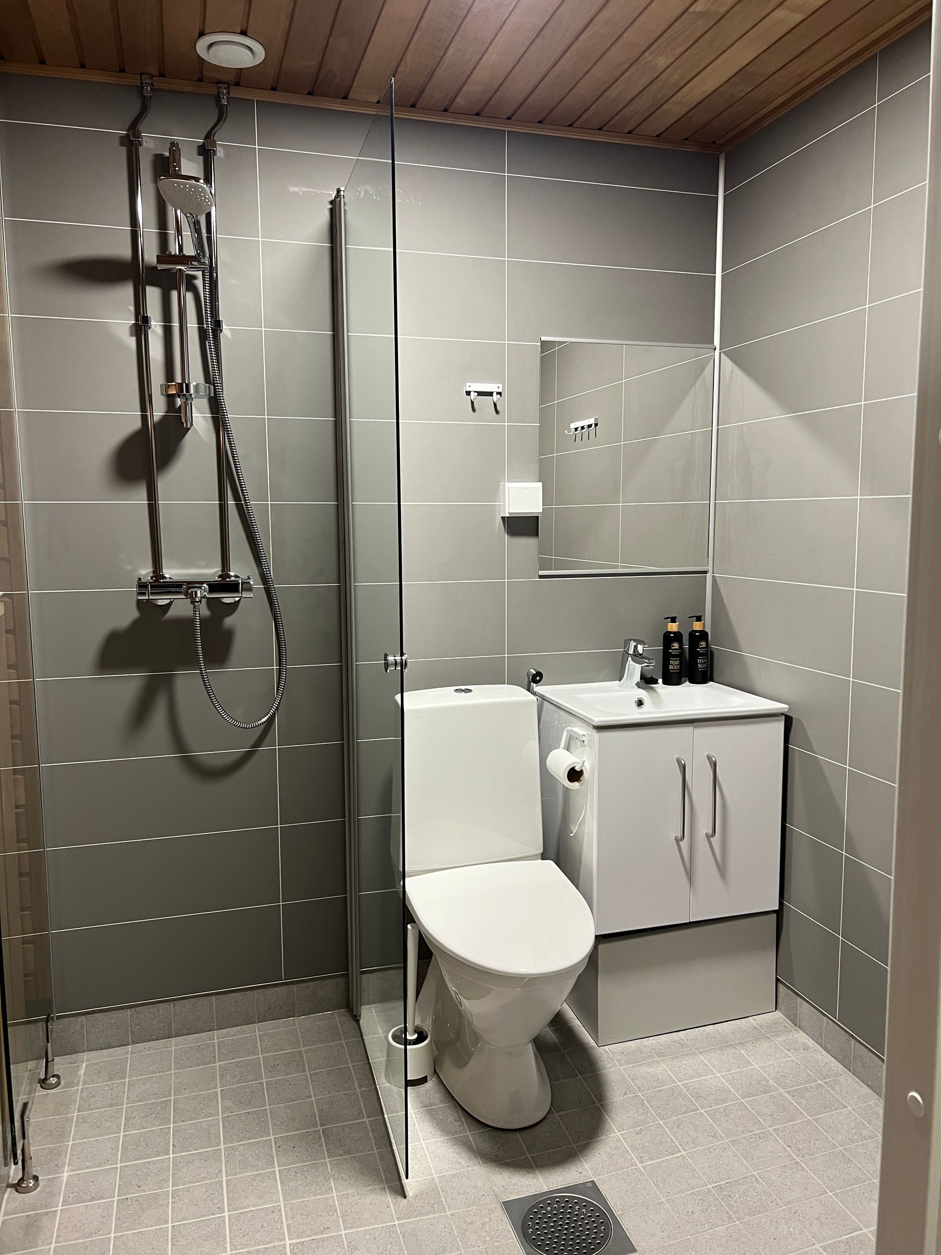 Een badkamer met toilet, wastafel en douche.