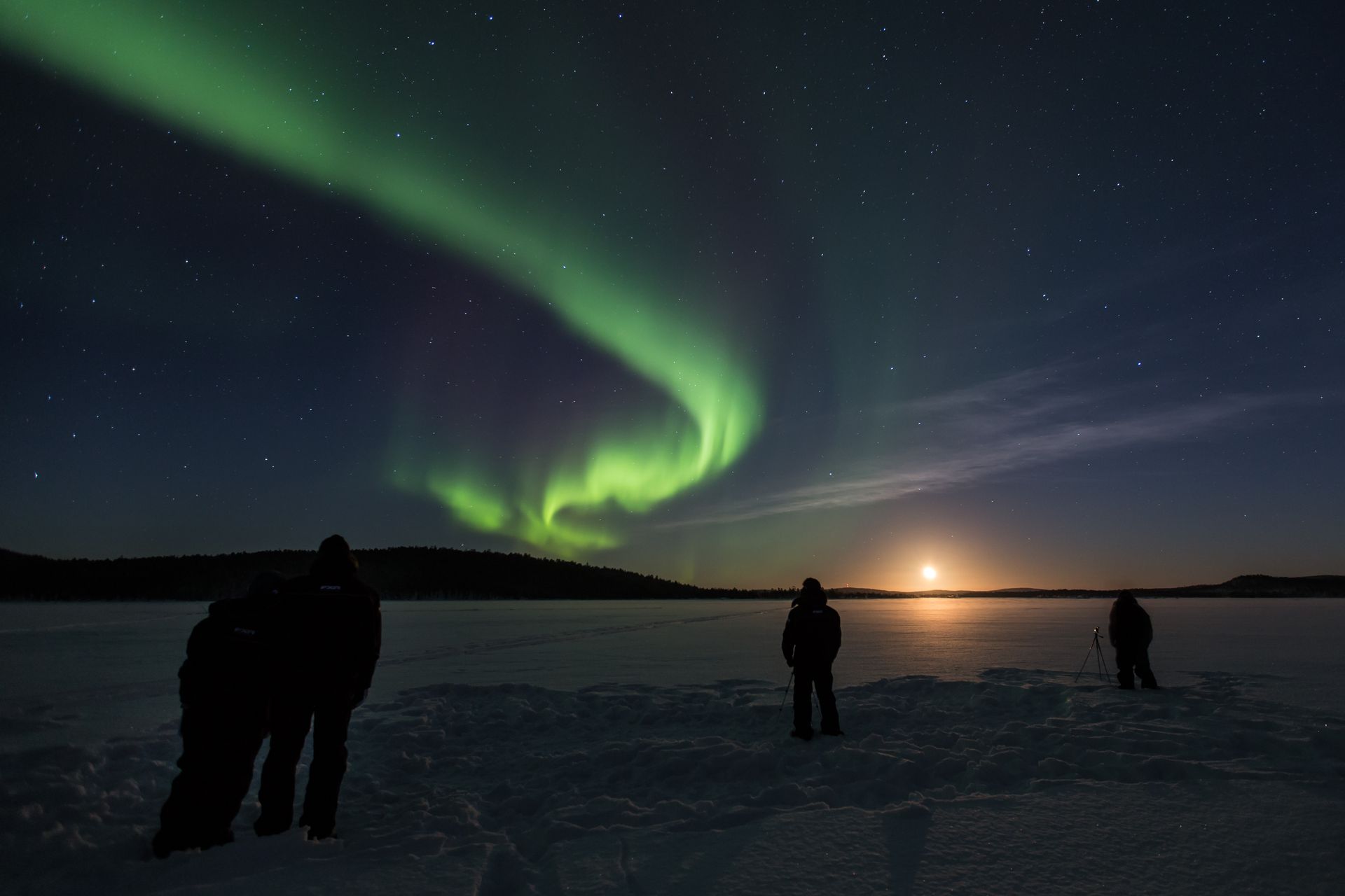 Prachtig Noorderlicht in het Arctische Lapland