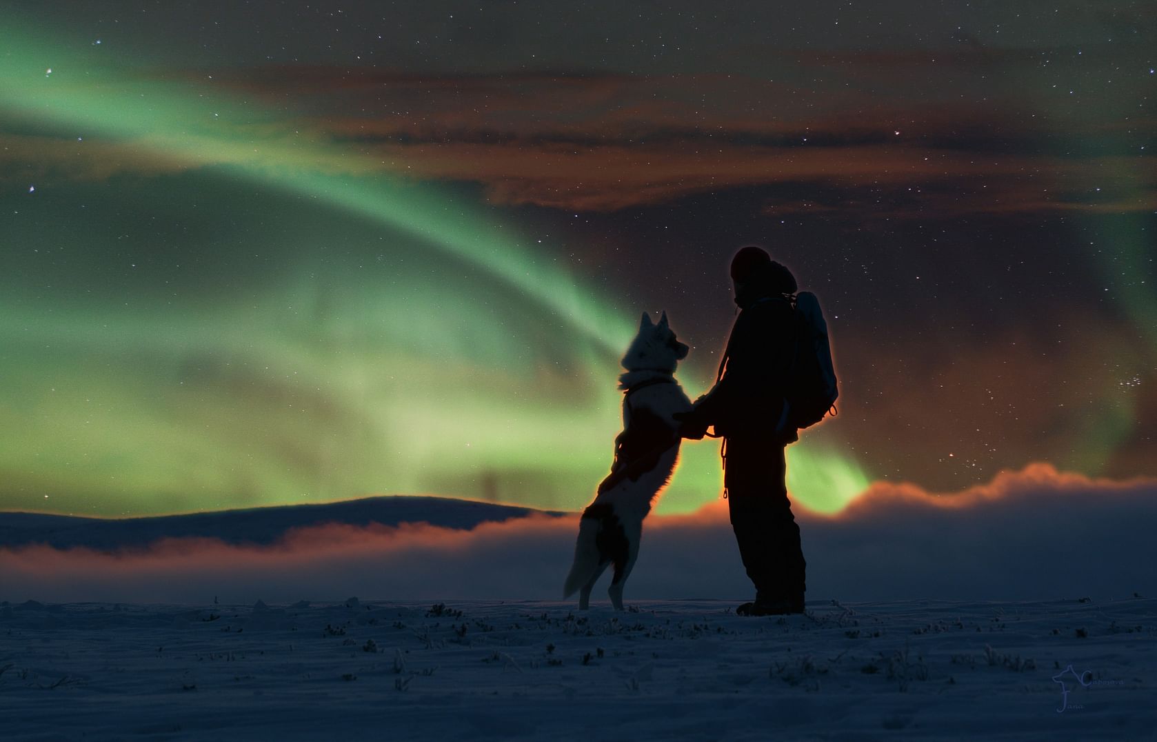 Maak een huskysafari in Lapland onder het Noorderlicht