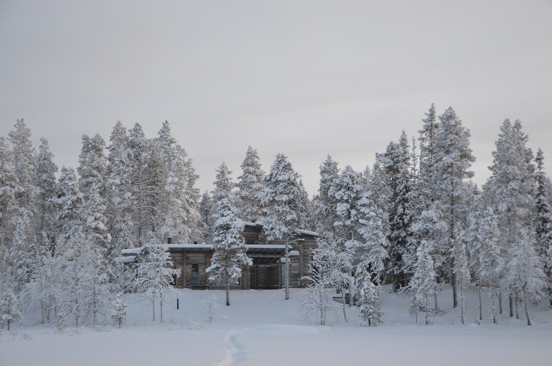 Reis de winterwonderen van Lapland