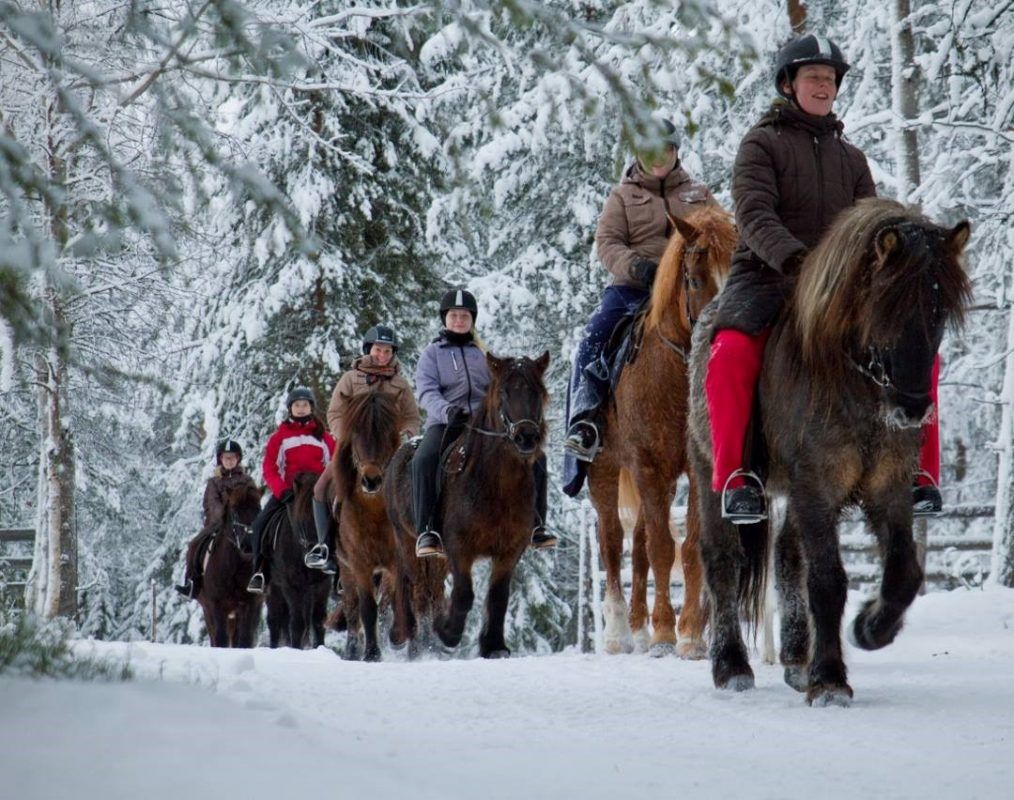 Paardrijden tijdens uw vakantie in Lapland