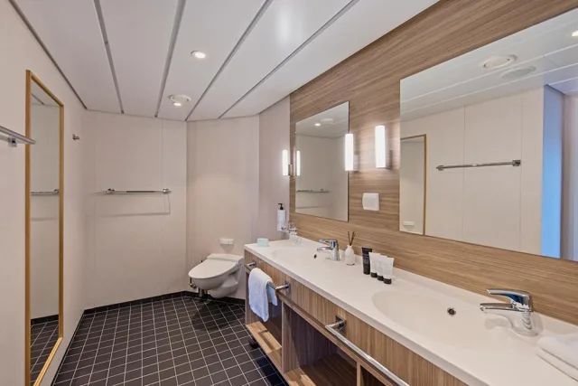 Een badkamer met toilet, wastafel en spiegels.