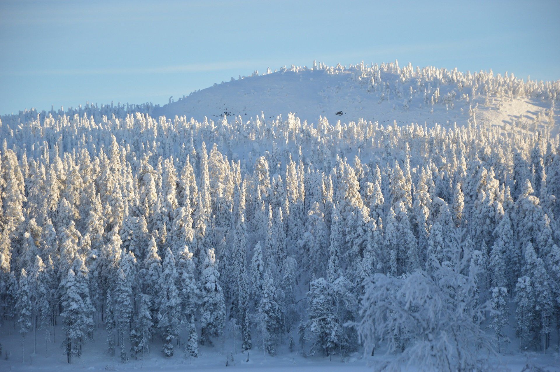 Echt Lapland, unieke 5daagse winterreis Go North