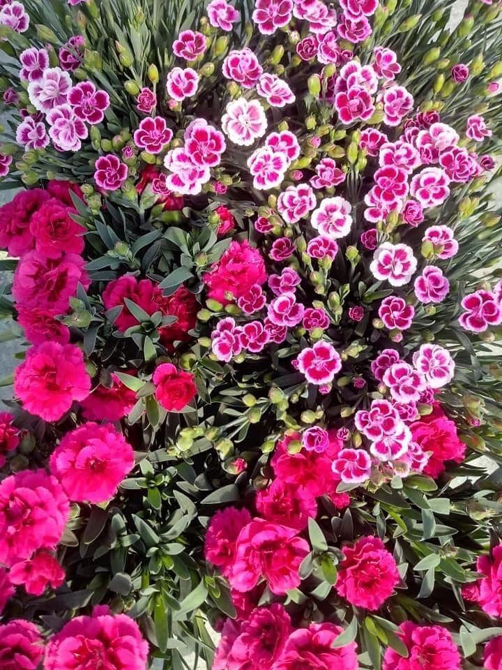 corone floreali per funerali